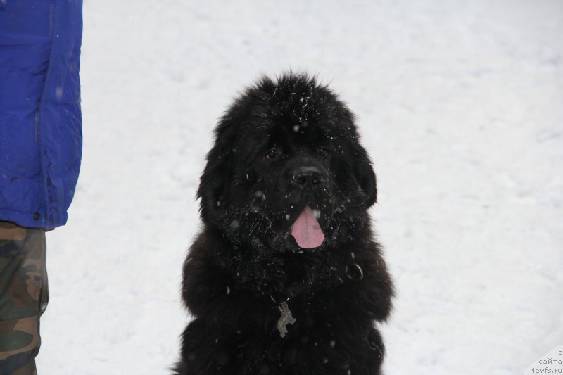 Фотография № 172119