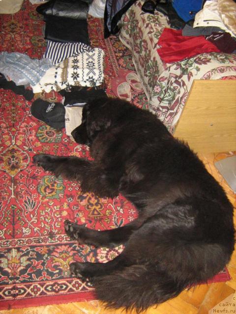 Фотография № 17212