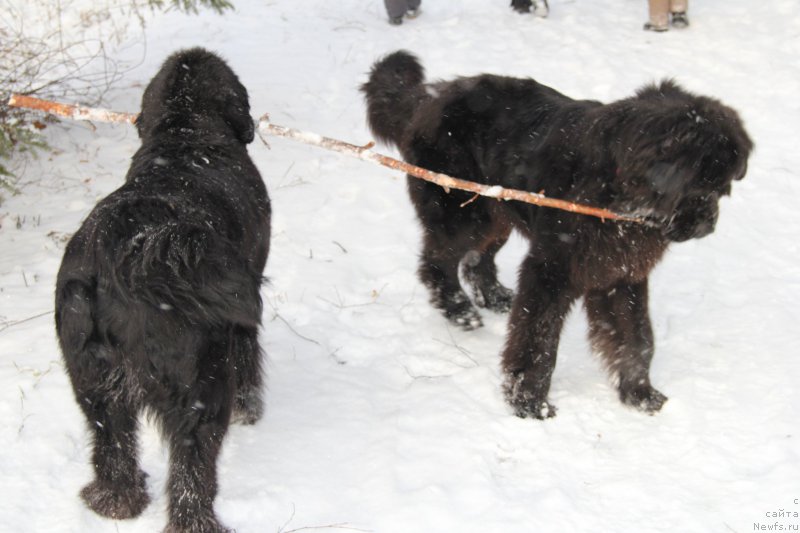 Фотография № 172122