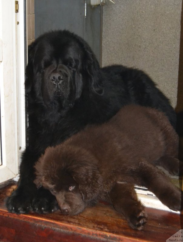 Фотография № 172126