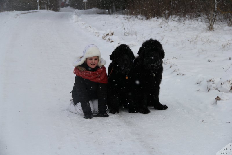 Фотография № 172127