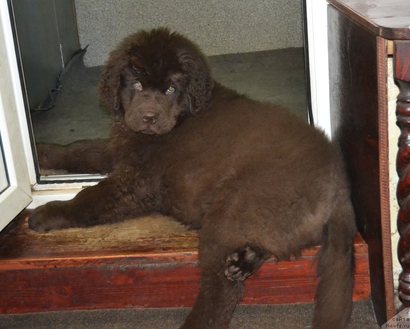 Фотография № 172128