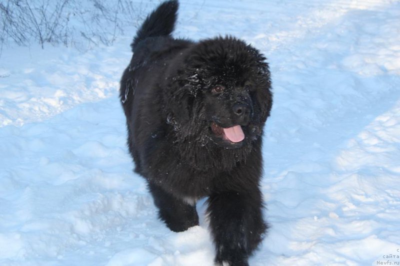 Фотография № 172135