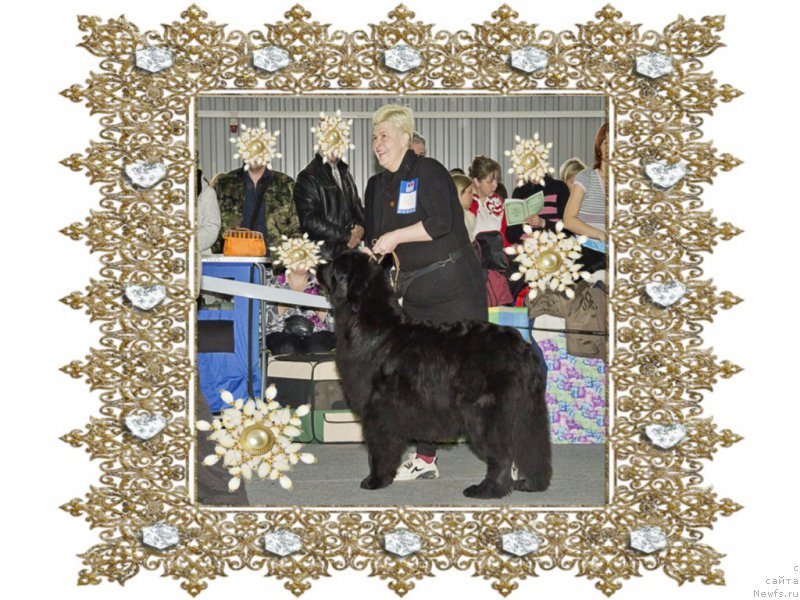 Фотография № 172139