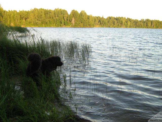 Фотография № 17214