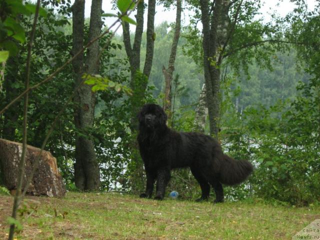 Фотография № 17217