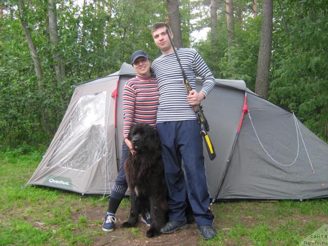 Фотография № 17222