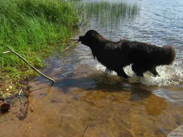 Фотография № 17224