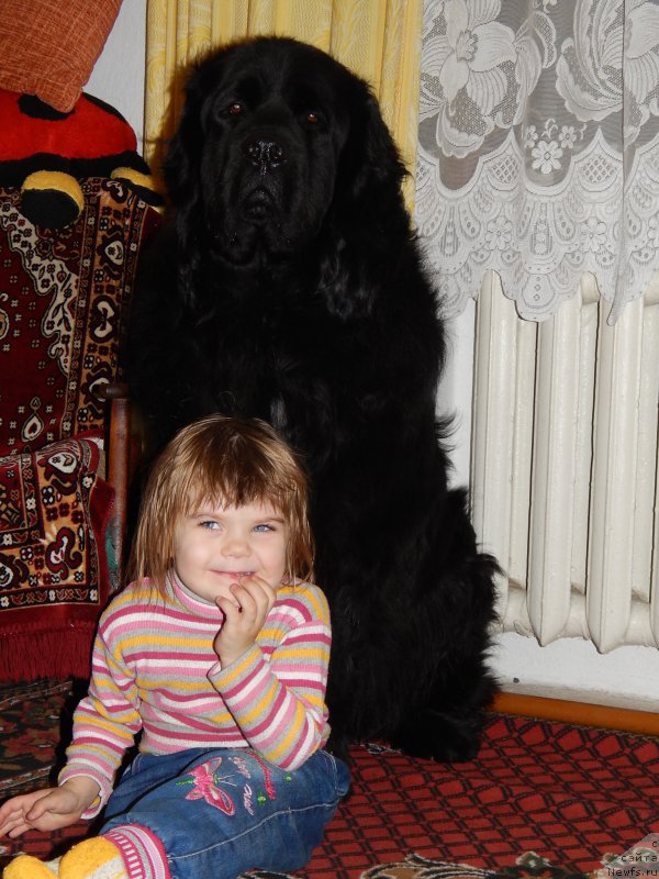 Фотография № 172240