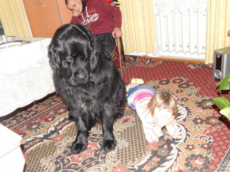 Фотография № 172244