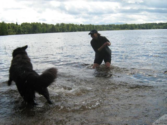 Фотография № 17226