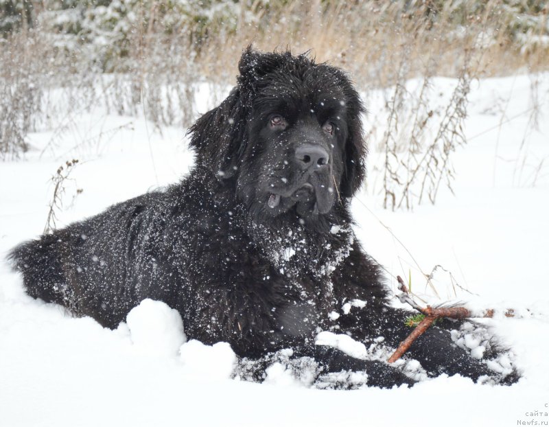 Фотография № 172262