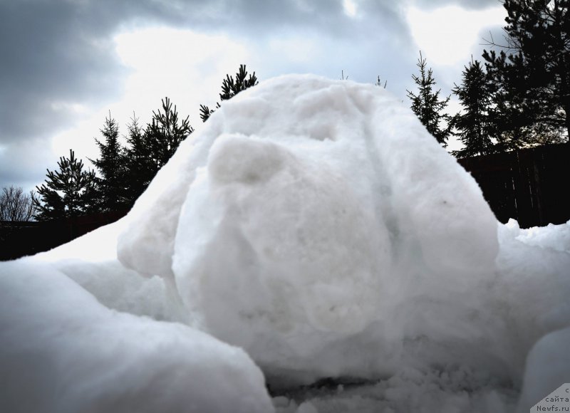 Фотография № 172265