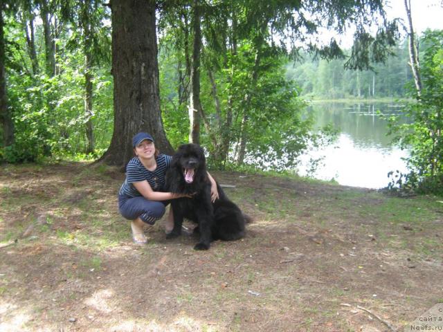 Фотография № 17233