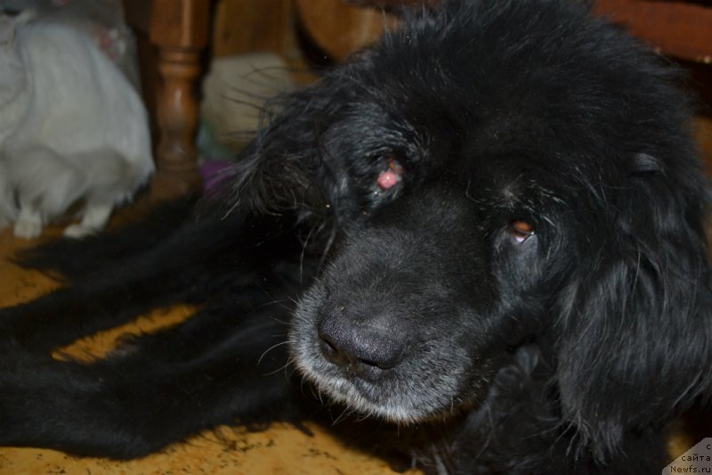 Фотография № 172331