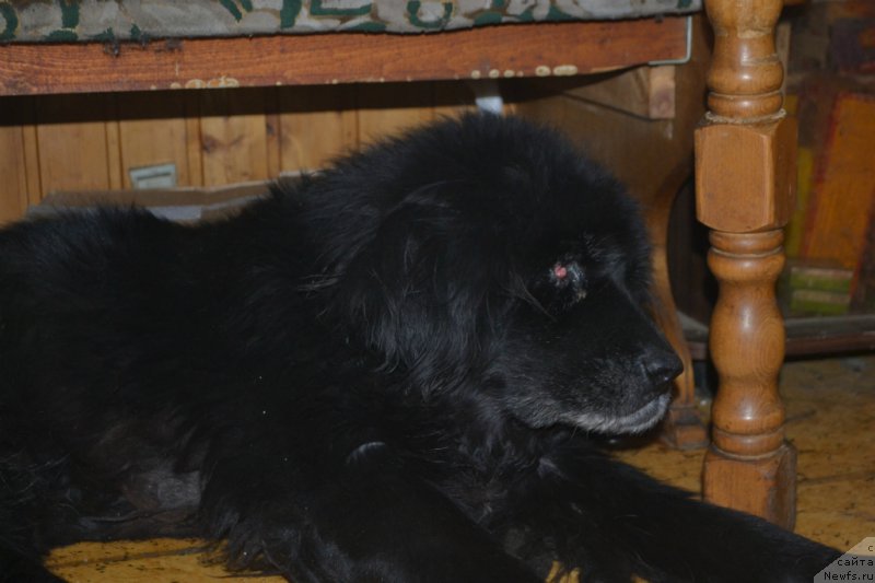 Фотография № 172332