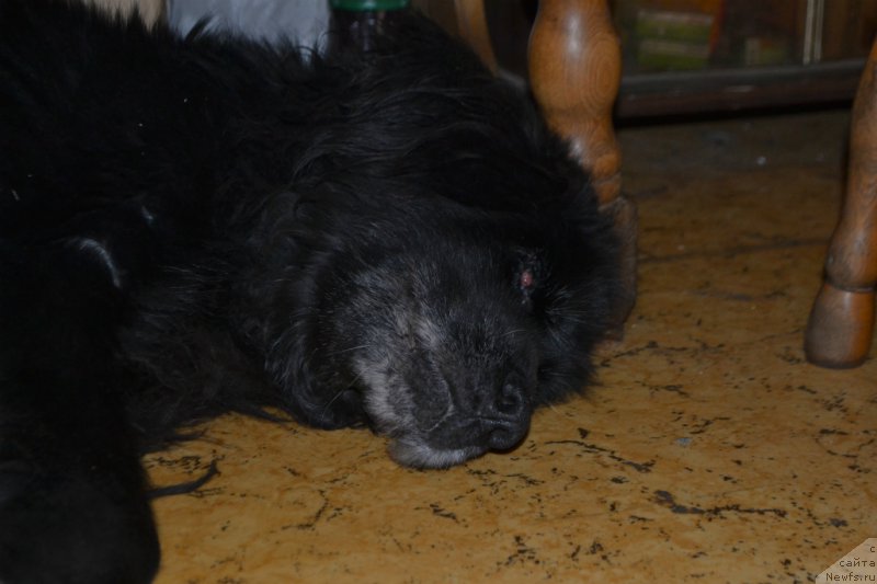 Фотография № 172334