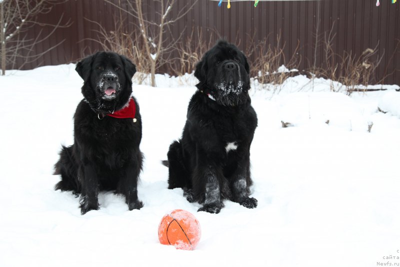 Фотография № 172340