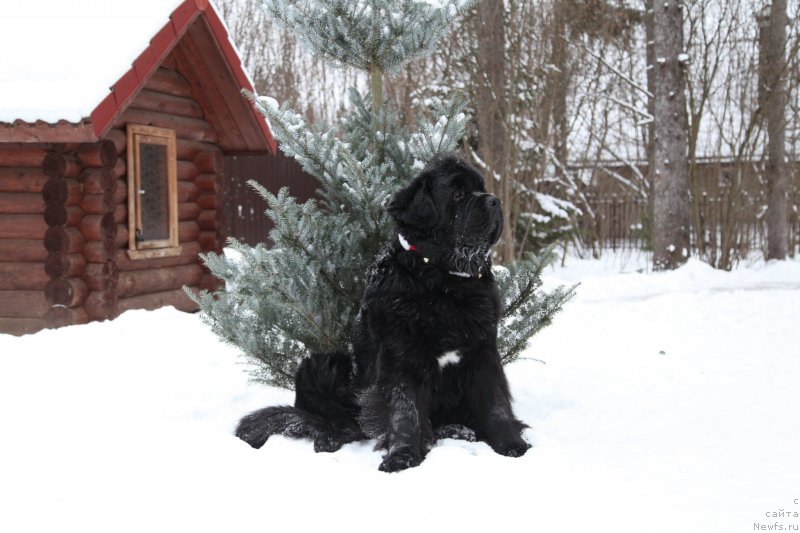 Фотография № 172341