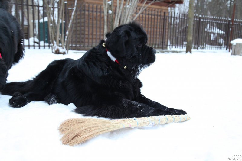 Фотография № 172343