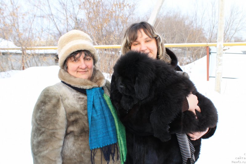 Фотография № 172363