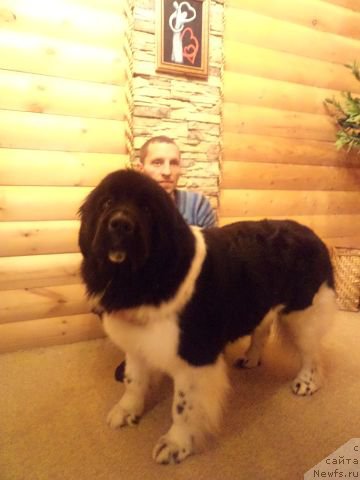 Фотография № 172368