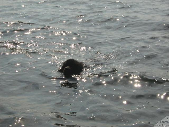 Фотография № 17238