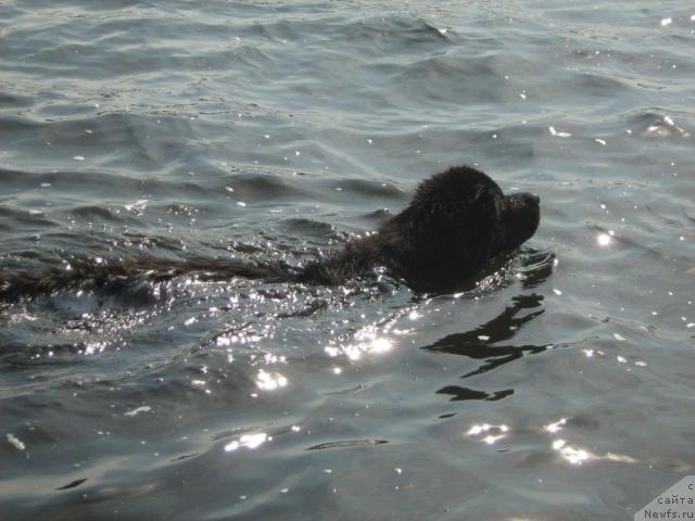 Фотография № 17239