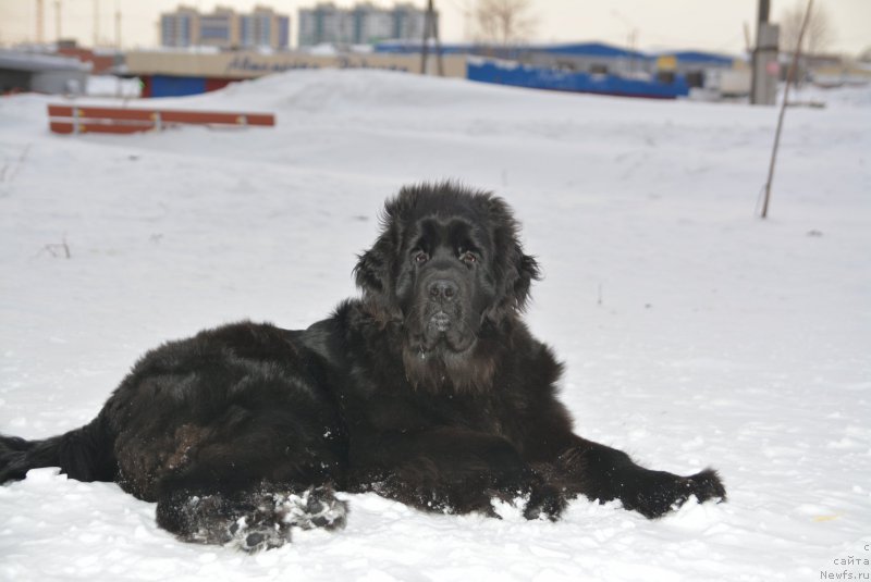 Фотография № 172395