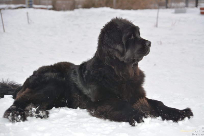 Фото: Татьяна Тетюрикова