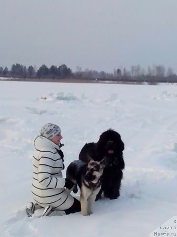 Фотография № 172409