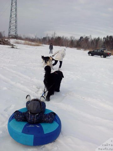 Фотография № 172410