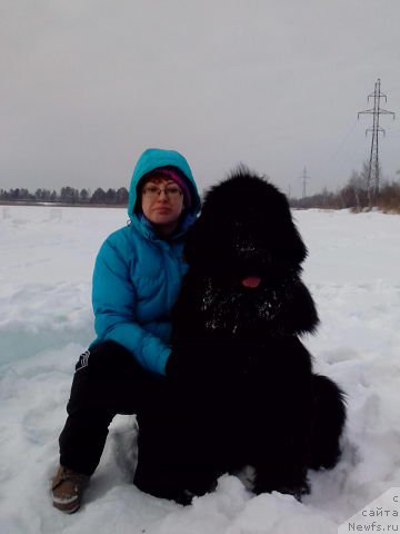 Фотография № 172412