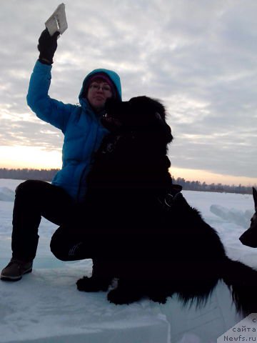 Фото: ньюфаундленд Би Перфект Аладар Хранитель Рода