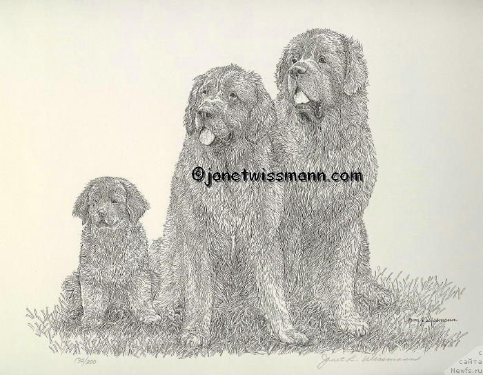 Фотография № 172416