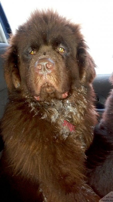 Фотография № 172425