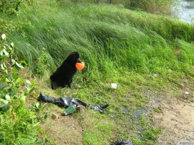 Фотография № 17243