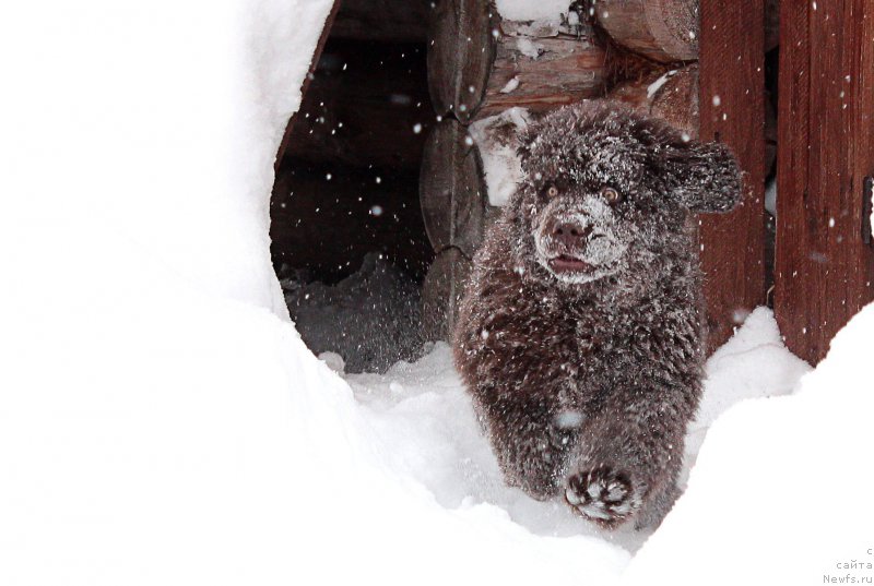 Фотография № 172439