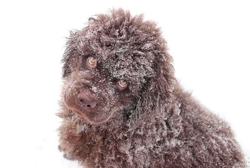 Фотография № 172441