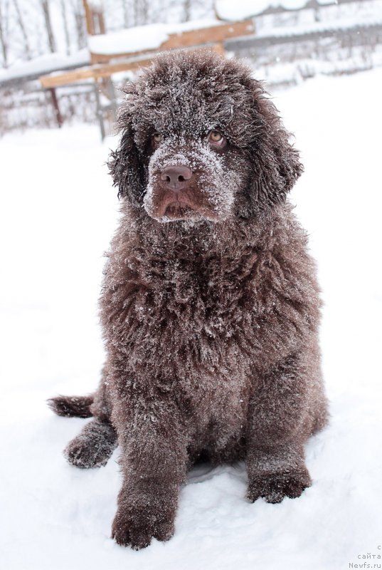 Фотография № 172442