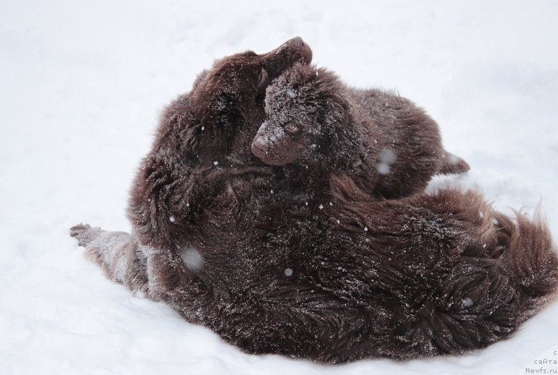 Фотография № 172447