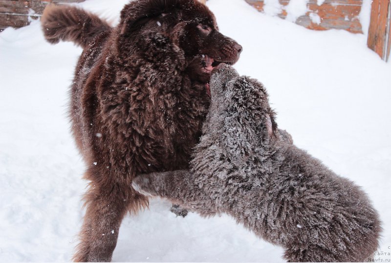 Фотография № 172448