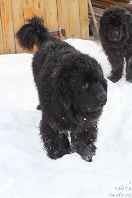 Фотография № 172461