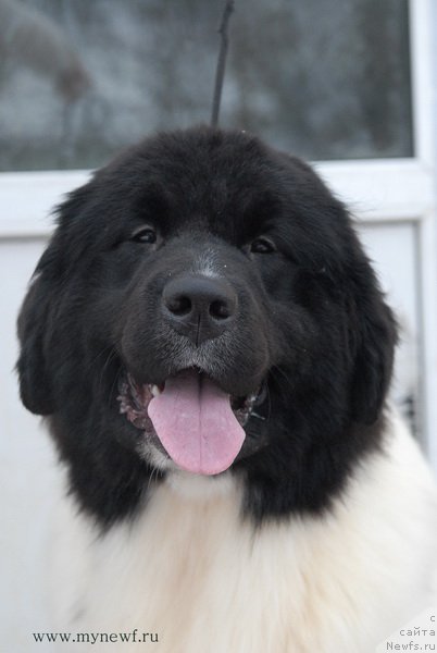 Фотография № 172525