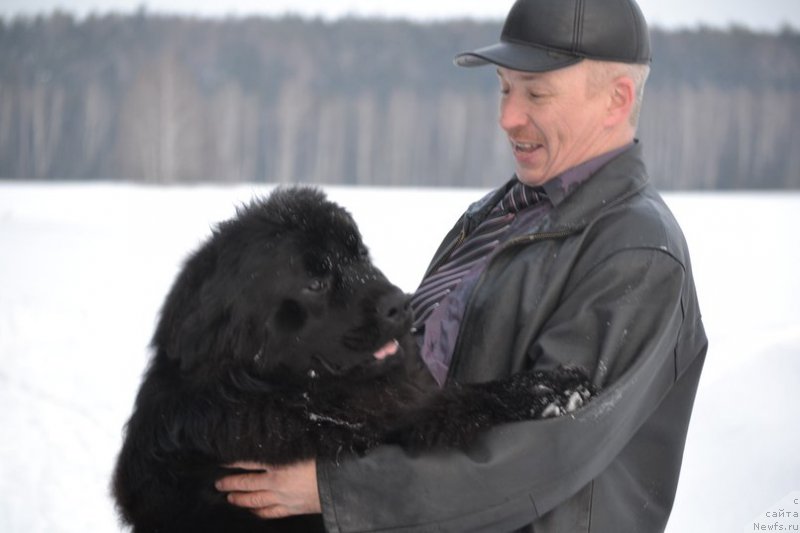 Фото: ньюфаундленд Акватория Келвин Шарлиз (Aquatoriya Kelvin Sharliz), Алексей Вотчал