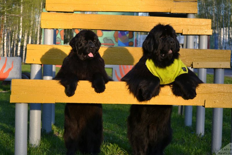 Фотография № 172534