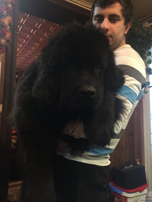 Фотография № 172572