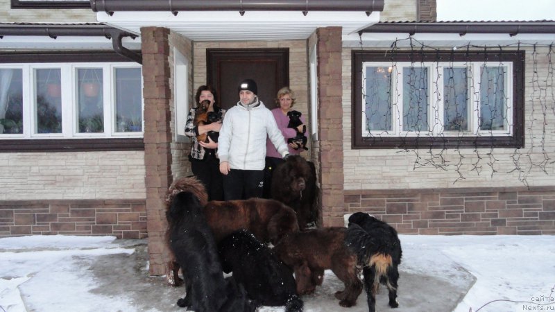 Фотография № 172573