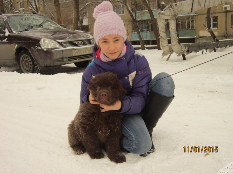 Фотография № 172577