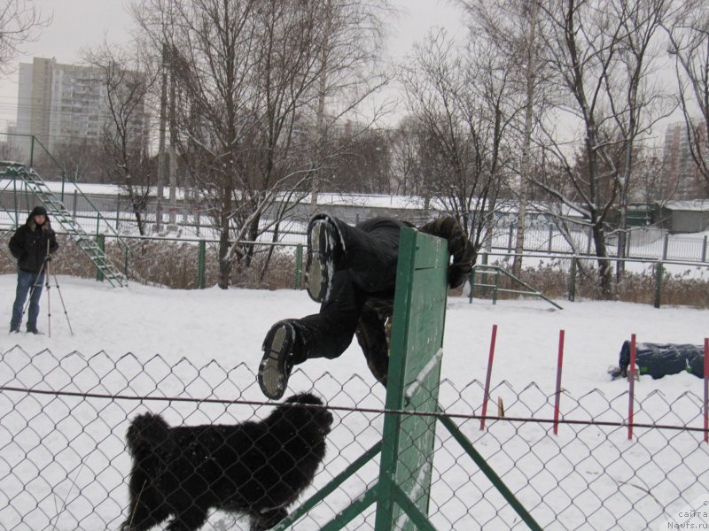 Фотография № 172614